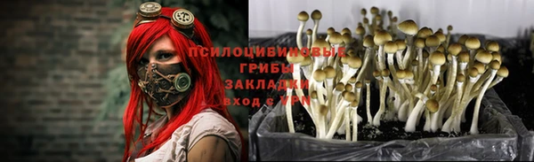 каннабис Армянск